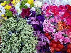 -秦美花卉(天朗·莱茵小城2期店)