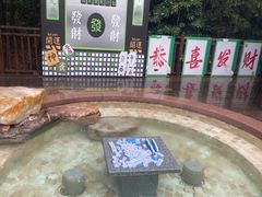 -天目湖涵田半山温泉