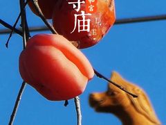 -雍和宫