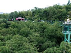 -陶祖圣境风景区