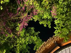 -湖泉半山温泉