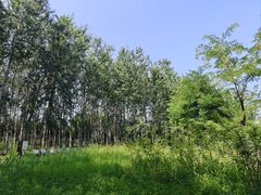 -翠湖国家城市湿地公园