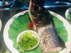 -松沪名灶·豆浆鱼头·新上海菜(飞航吾悦广场店)