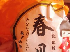 -灯旺水果(常福店)