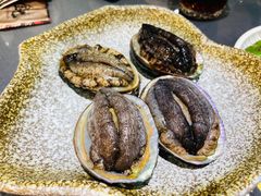 鲜活小鲍鱼-金龙·打边炉(武进路店)