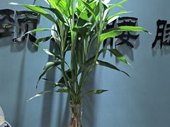 -深蓝盲人推拿·颈肩腰腿疼痛·艾灸调理(清河店)