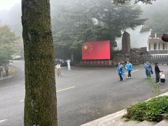 -四明山国家森林公园