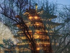 -鹊华居·地道鲁菜·海鲜·融合味(大明湖店)