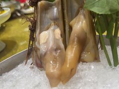 -半岛翡丽海鲜自助餐厅(观风亭店)