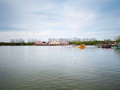 -上海长兴岛郊野公园