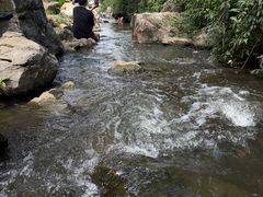 -羊山湖公园