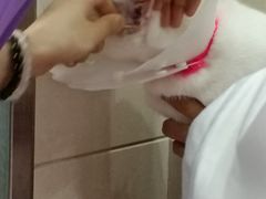 -北京观赏动物医院·24小时大型综合·猫专科·异宠专科