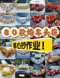 -喜乐汇·婚车(华润橡树湾3期店)