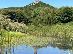 -北坞公园