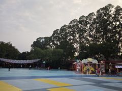 -广州长隆国际大马戏