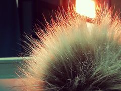 -大润发(花雨店)