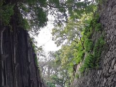 -乌山风景区