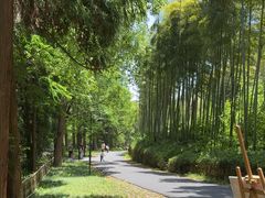 -东明山森林公园