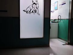 -欧奕国际动物医院