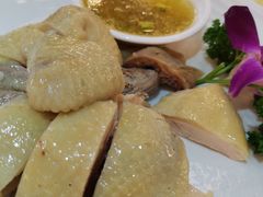 心点香葵鸡-心点盛宴江南西店