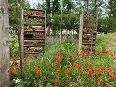 -前小桔亲子创意农场·草莓采摘·露营烧烤