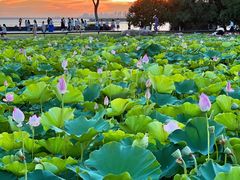 -滆湖低碳生态公园
