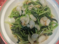 -大秦瓦罐(光谷大街店)