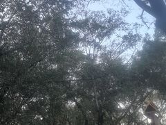 -西双版纳傣族园