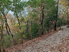 -紫金山天文台