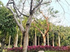 -广州雕塑公园