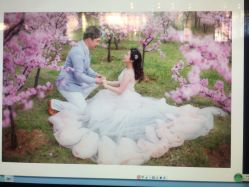 点击看大图 -巴黎春天·菀纱仙庭婚纱美学