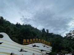 -西双版纳原始森林公园