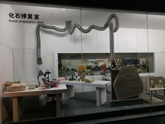-大庆市博物馆