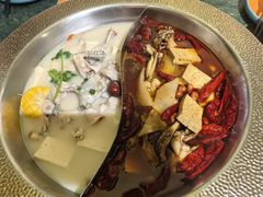 -麻田会 ·鲜活现烹·牛蛙火锅(珠江新城维家思广场店)