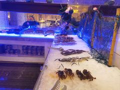 -鲤鱼洲酒店港鲤咖啡厅