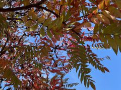 -星辉电影公园(时代广场CC MALL店)