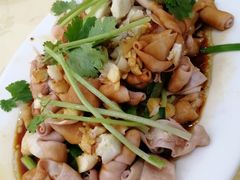 白切鸭肠-电白鸭粥店(下沙二坊88号店)