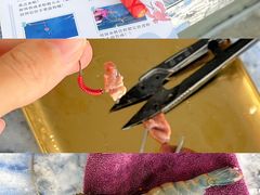 -SHRIMP CLUB万东餐饮钓虾·清吧