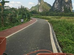 -明仕田园