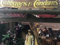 -卷心菜和避孕套餐厅(Pattaya)