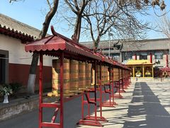 -护国法轮寺