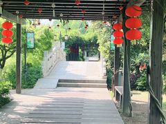 -白马涧龙池景区