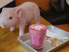 -WHEN PIGS FLY当猪飞
