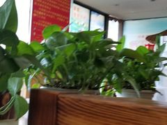 -313羊庄·羊肉火锅烧烤(李村店)