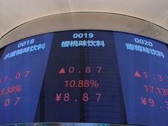 -第35届青岛国际啤酒节