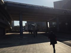 -奥体中心游泳馆