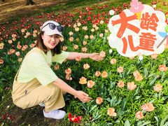 -长春公园(普阳街道)