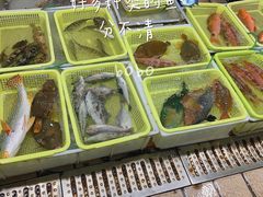-蛇口市场