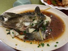 清蒸石斑鱼-三亚老渔民海鲜店