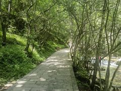 -牛背梁国家森林公园